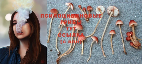 гашиш Бронницы