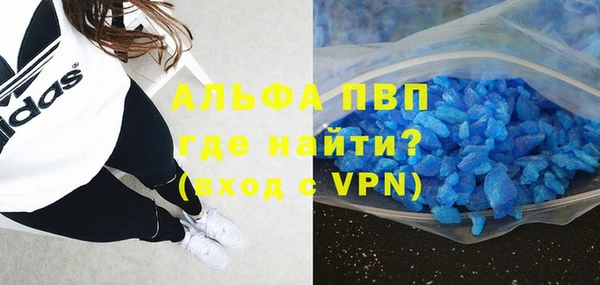 амф Верея